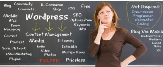 Wordpress Training Centre  in Kerala