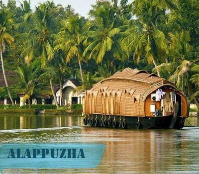 Digital Marketing Training Centre  @ Alappuzha