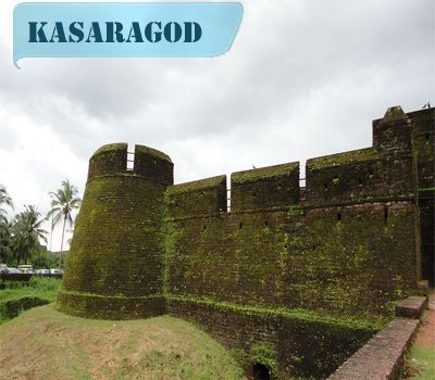 Digital Marketing Training Centre  @ Kasaragod