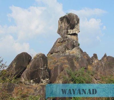 Digital Marketing Training Centre  @ Wayanad